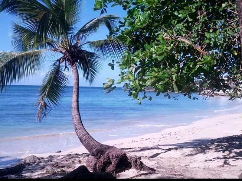 Villa Colonial Suite N 3 Familiar Río San Juan Eksteriør bilde